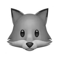 🦊